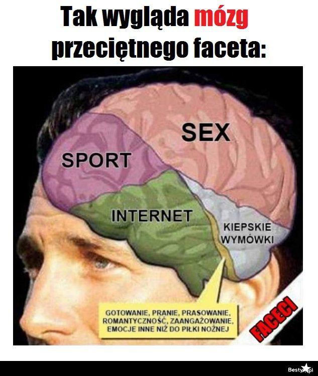 Mózg faceta myślącego często o seksie.